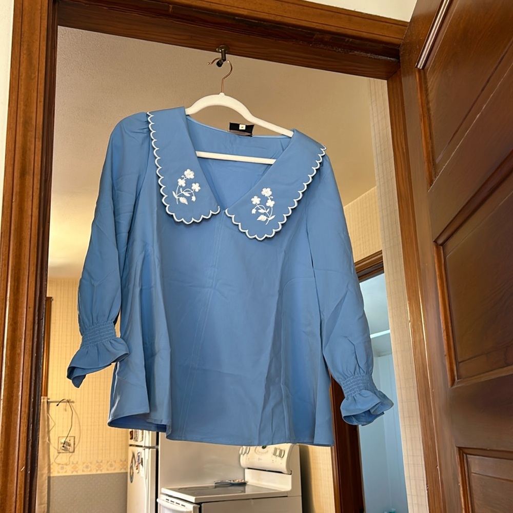 Tuckernuck blue blouse, brand new/never worn